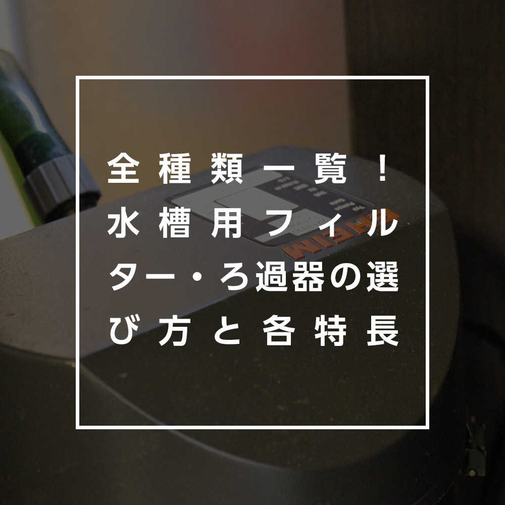 全種類一覧!水槽用フィルター・ろ過器の選び方と各特徴。