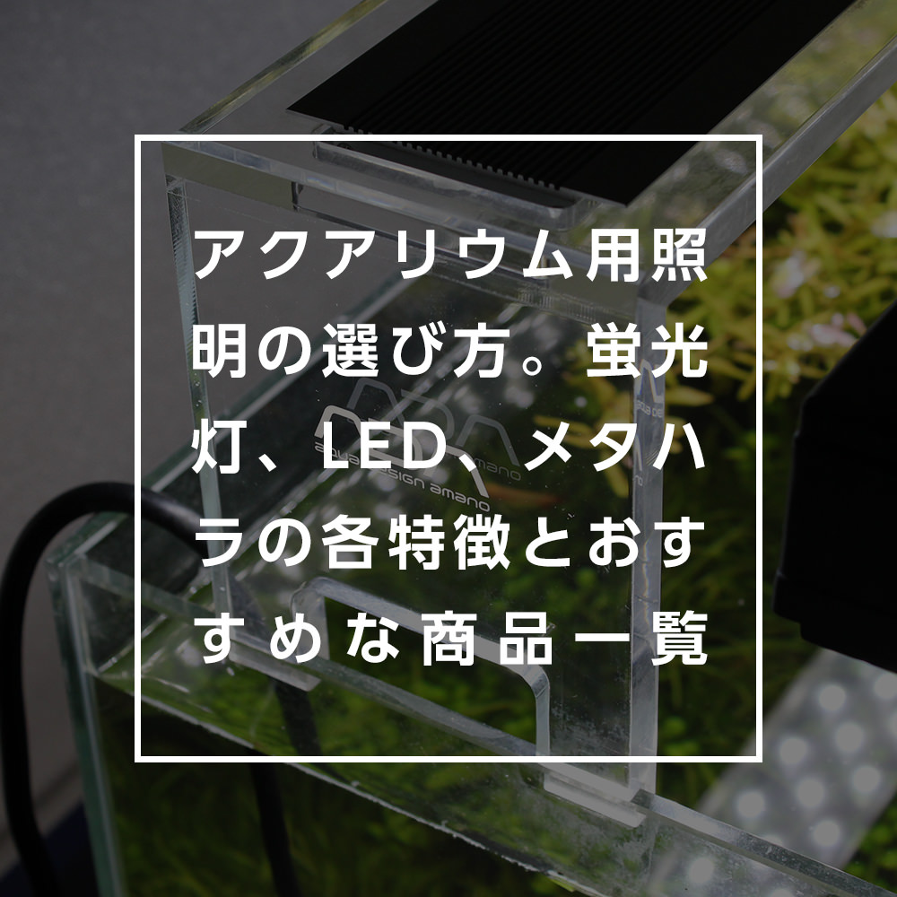 アクアリウム(水草・熱帯魚水槽)用照明の選び方。蛍光灯、LED、メタハラの各特徴とおすすめな商品一覧